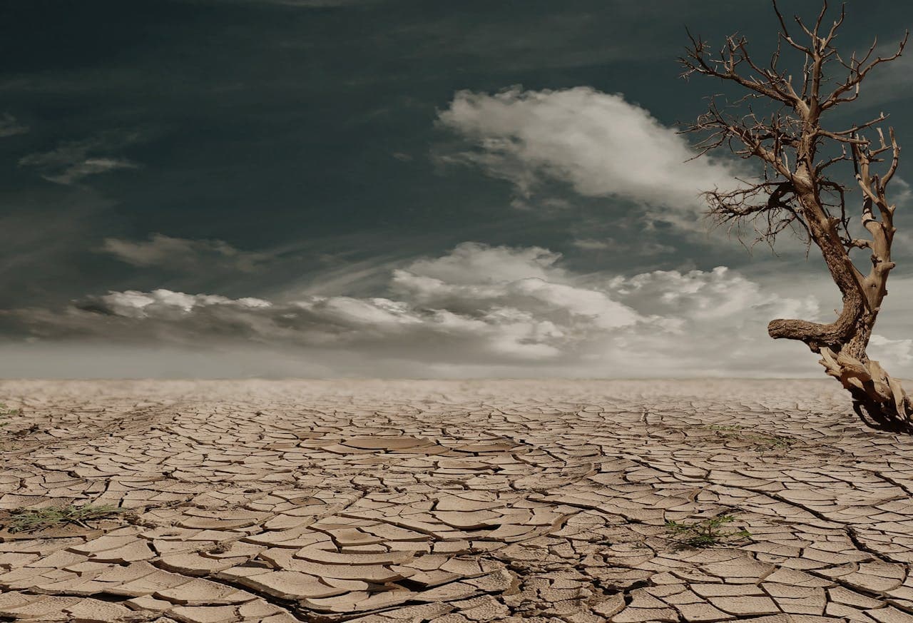 una imagen de un planeta tierra desolado cuyo medioambiente ha sido destruido por completo en un futuro distópico y apocalíptico